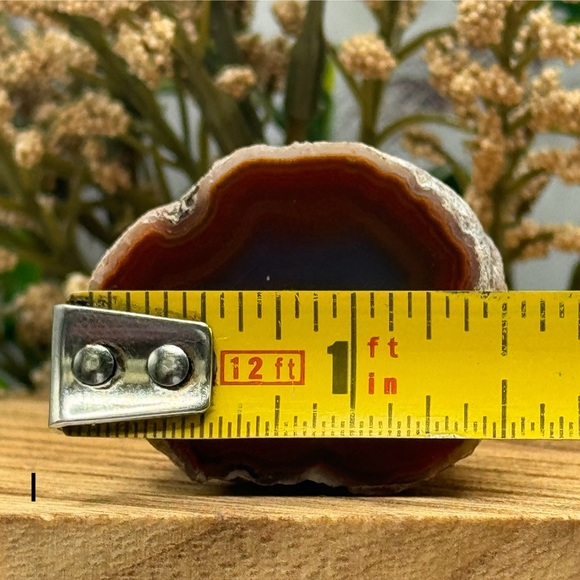 Coyamito Agate from Chihuahua Mexico - Picture 5 of 6